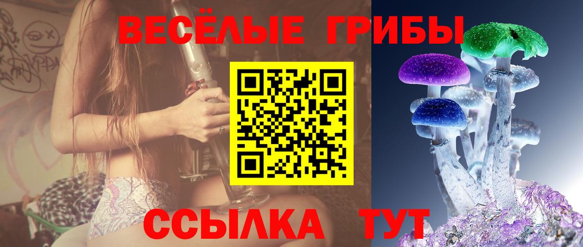 Псилоцибиновые грибы Magic Shrooms Каменск-Уральский
