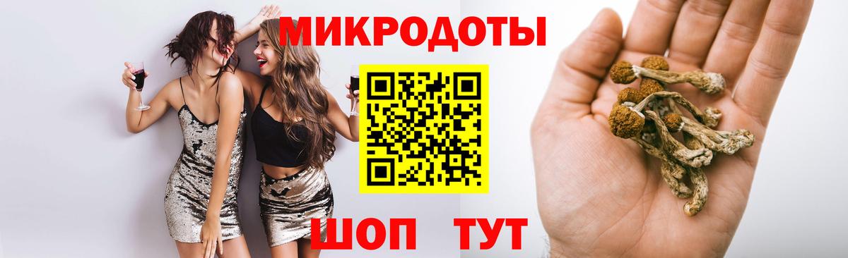 Галлюциногенные грибы MAGIC MUSHROOMS  Вход с VPN  Каменск-Уральский 
